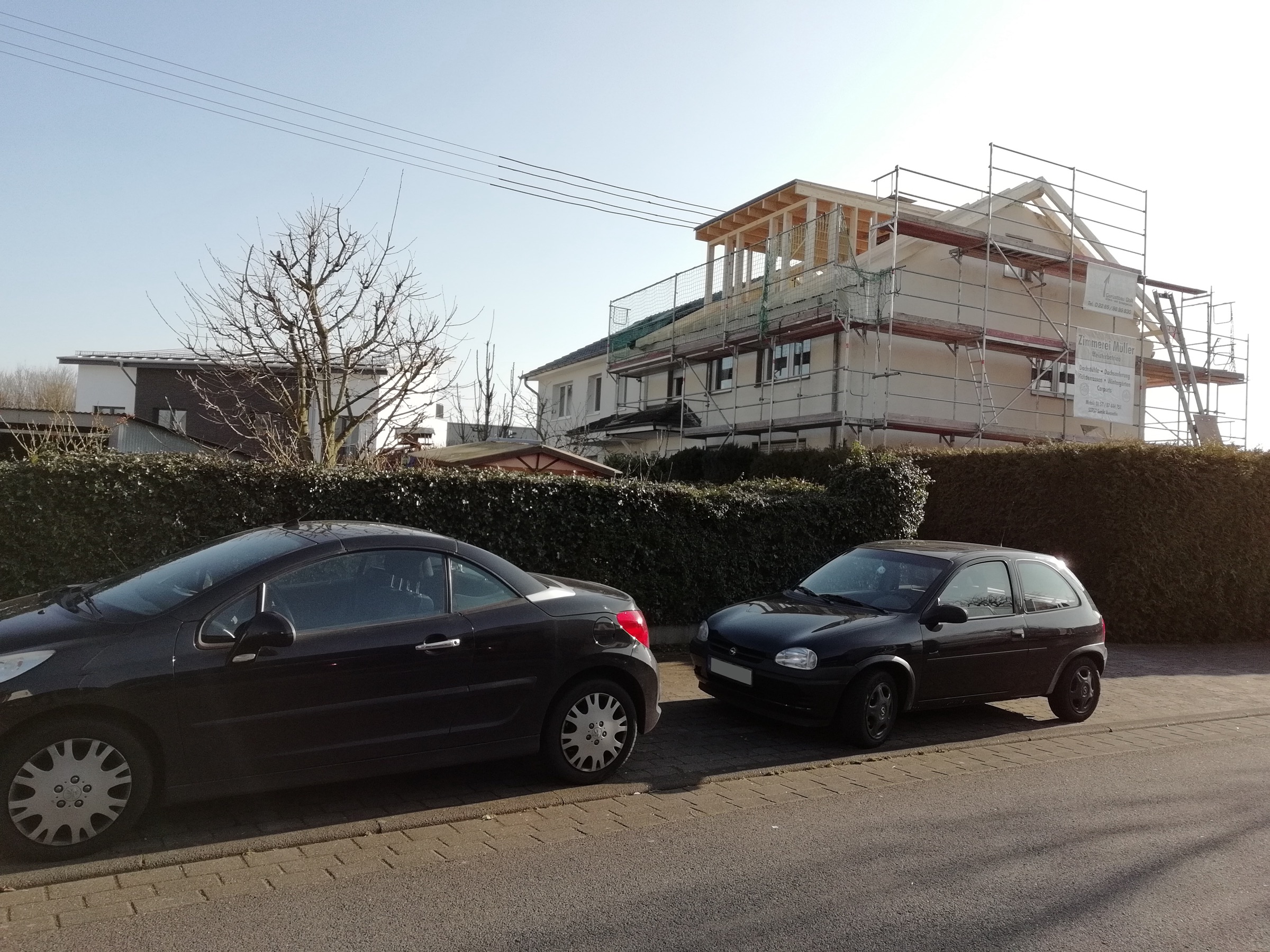 Gaube in Sankt Augustin